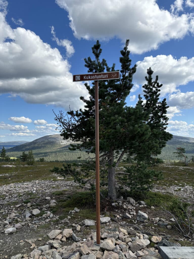 tienviitta ja puumaisema