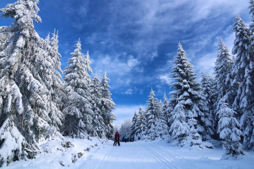 skiing 5878729 1920