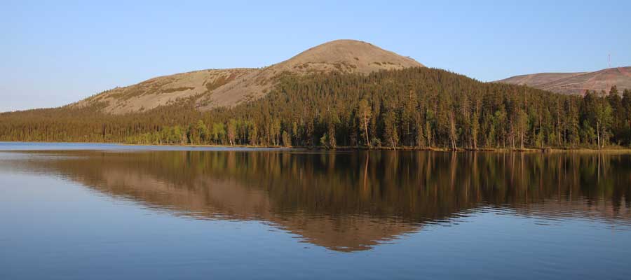 Jarvimaisema