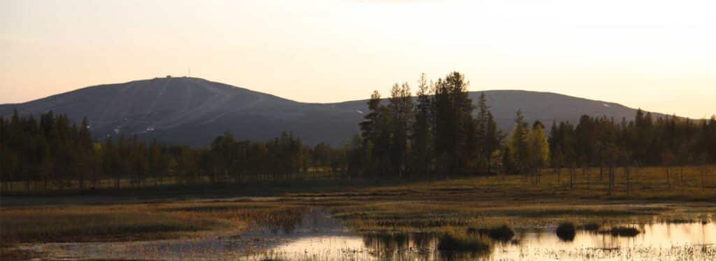 loma, ylläs