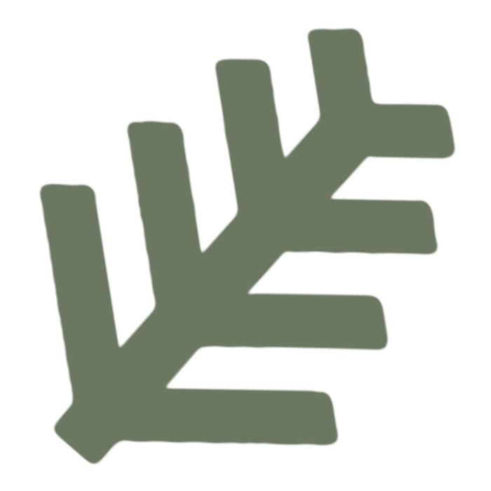 kerkka2